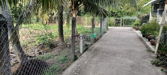 Hình ảnh Cần bán đất đường An Sơn 32, Thuận An Bình Dương  Diện Tích 15x33