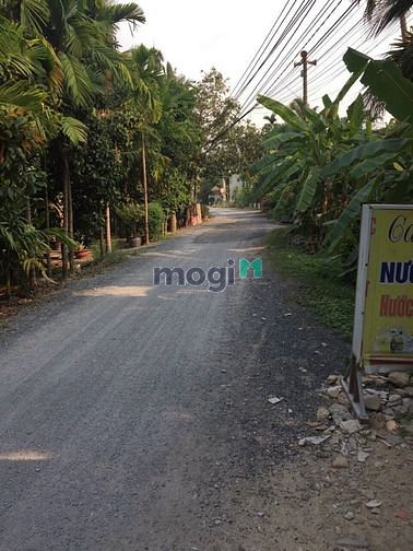 Hình ảnh Cần bán đất đường An Sơn 32, Thuận An Bình Dương  Diện Tích 15x33