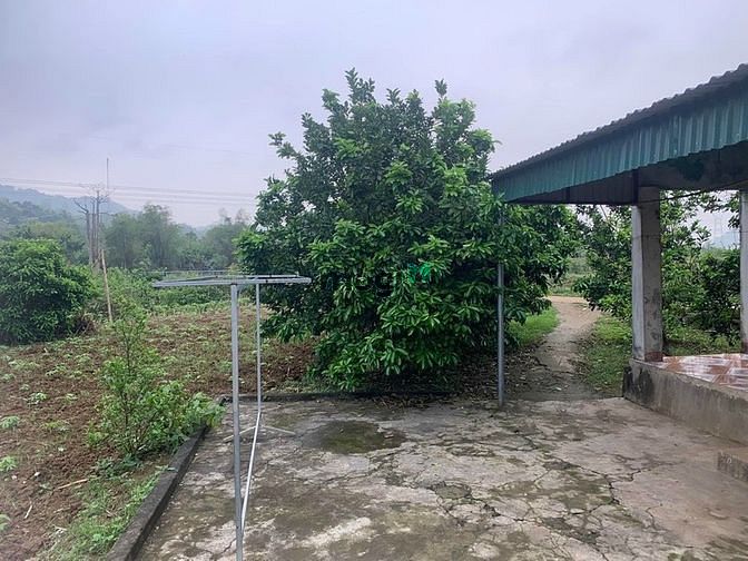 Hình ảnh Lô 1400m2 bám suối Đa Phúc, Yên Thủy, Hòa Bình