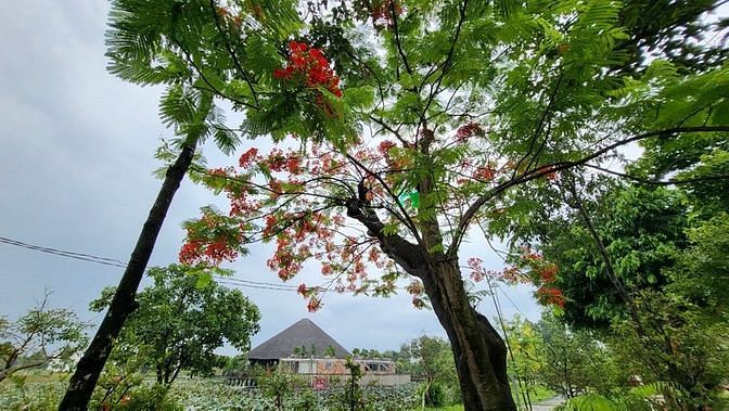Hình ảnh Bán Lô B 75m2 cực đẹp, KĐT Làng Sen Việt Nam