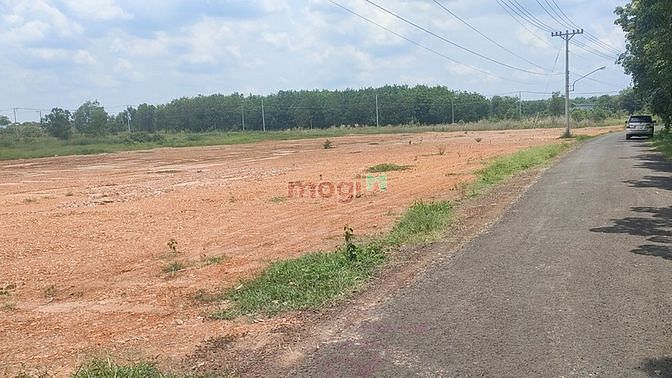 Hình ảnh Bán 16mx65m đối diện trại gà Tân hưng giá rẻ