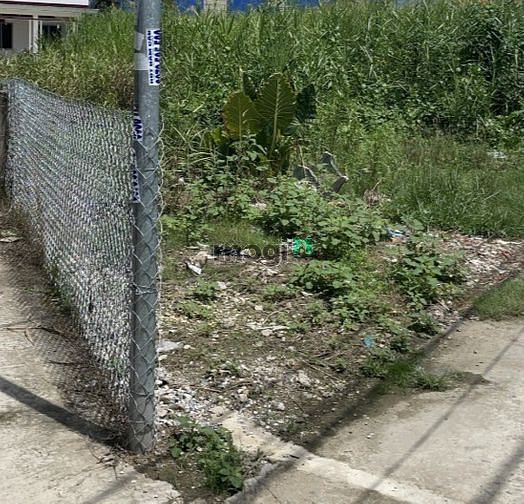 Hình ảnh Đất rẻ 300m2 đất thổ cư đường Đinh Đức Thiện, Phước Lý, Long An.