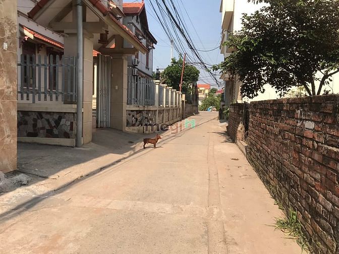 Hình ảnh Bán đất GIA LÂM , Hàng xóm KHU DU LỊCH BÁT TRÀNG