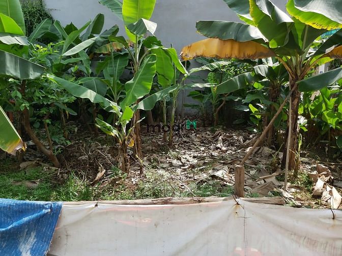 Hình ảnh Chính Chủ Bán 30m2 Đất Tại Kẻ Tạnh Giang Biên