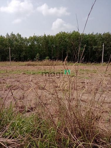 Hình ảnh Đất nền thổ cư nằm ngay Trung Tâm thị trấn