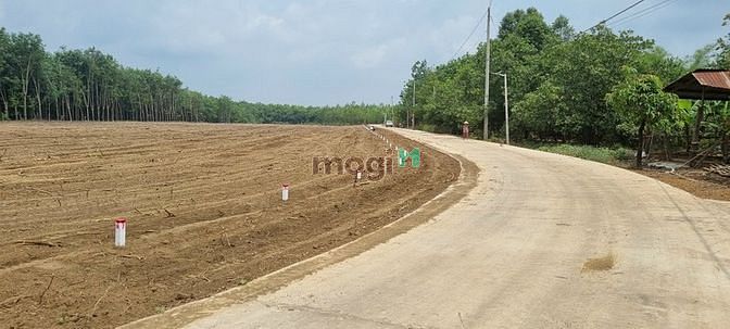 Hình ảnh Đất nền giá rẻ,Lộc Khánh ,Lộc Ninh,Bình Phước