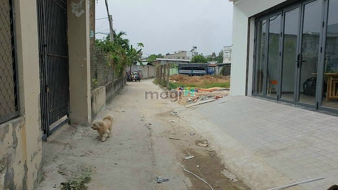 Hình ảnh Đất thổ cư 7.38x16m, ấp Tây Lân Xã Bà Điểm
