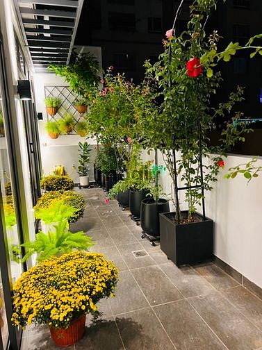 Hình ảnh CHDV - 2PN Luxury - Chỉ Tính Điện Nước - Nhiều Dịch Vụ Hấp Dẫn 🌼