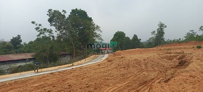 Hình ảnh Đất nền phân lô cạnh KCM LAm Sơn Sao Vàng-Thọ sơn-Thanh Hóa