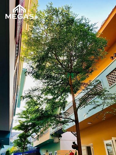 Hình ảnh 🏡 Mb6623 nạp rút nhanh chóng 1PN Full nội thất hơi hướng TN