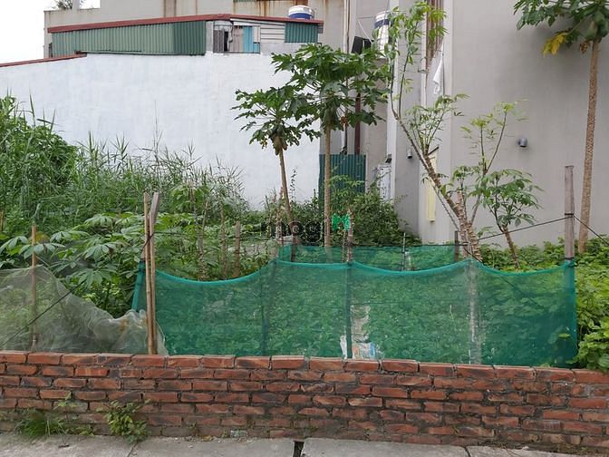 Hình ảnh Bán Đất Xóm 8 Đông Dư, Gia Lâm 34.3m2