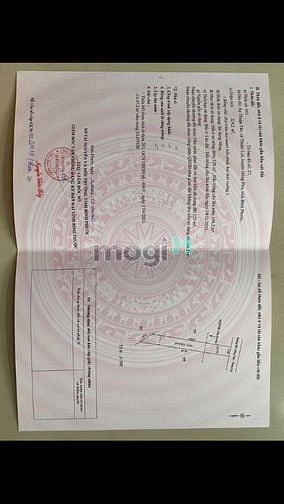 Hình ảnh Bán đất ở Thuận Lợi - Đồng Phú - Bình Phước. Diện tích 250m2 ( SHR )