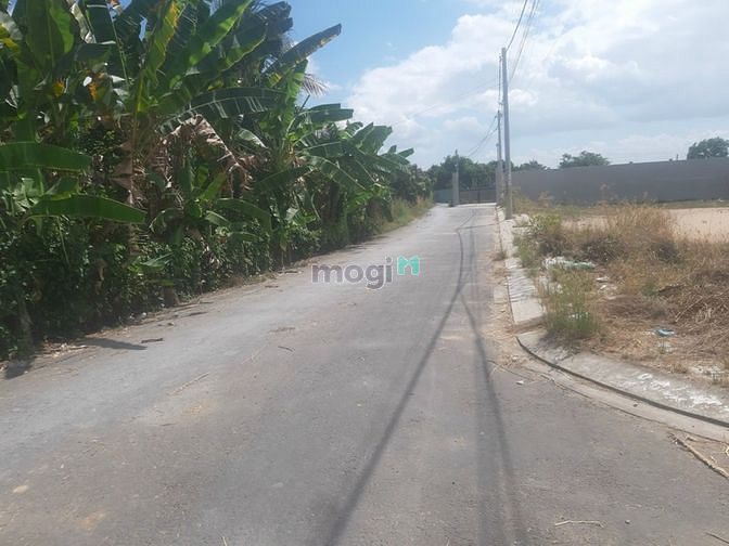 Hình ảnh Cần bán gấp đất đường Hoàng Phan Thái, ở Bình Chánh, 100m2, giá 1ty110