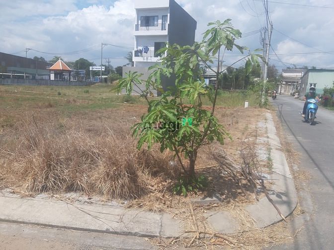Hình ảnh Cần bán gấp đất đường Hoàng Phan Thái, ở Bình Chánh, 100m2, giá 1ty110