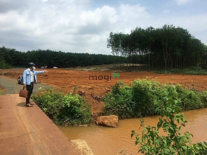 Hình ảnh ❤lô góc 2 mặt tiền view suôi cực đẹp