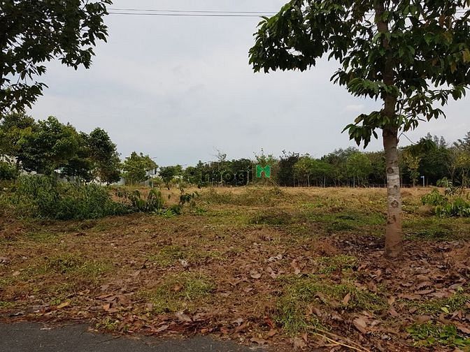 Hình ảnh Đất nhà bè kdc phú xuân cảng sài gòn 261 m