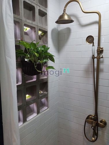 Hình ảnh CHDV Quận 3 full nội thất decor khỏi bàn
