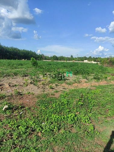 Hình ảnh Bán 1000m2/600tr ngang 15mx60m ở gần UB Tân Hưng