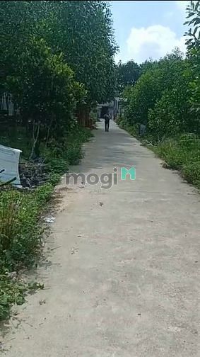 Hình ảnh 👉 Bán gần 4 sào đất Xã Đồi 61, Trảng Bom