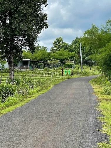 Hình ảnh Cần bán lô đất thổ cư nằm gần trung tâm huyện