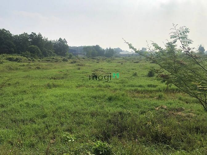 Hình ảnh Tân Hiệp - Hóc Môn-Đất Lô Góc 2000m2- CLN- Chỉ 10 Tỷ