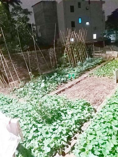 Hình ảnh 2 tỷ có đất Phú Diễn, 2 mặt ngõ, ngõ siêu rộng