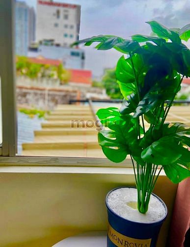 Hình ảnh 💥 HOT💥 Khai trương Trang Chủ MB66.COM / Đăng Ký Tặng 66K siêu đẹp ngay Phạm Văn Chiêu, Gò Vấp