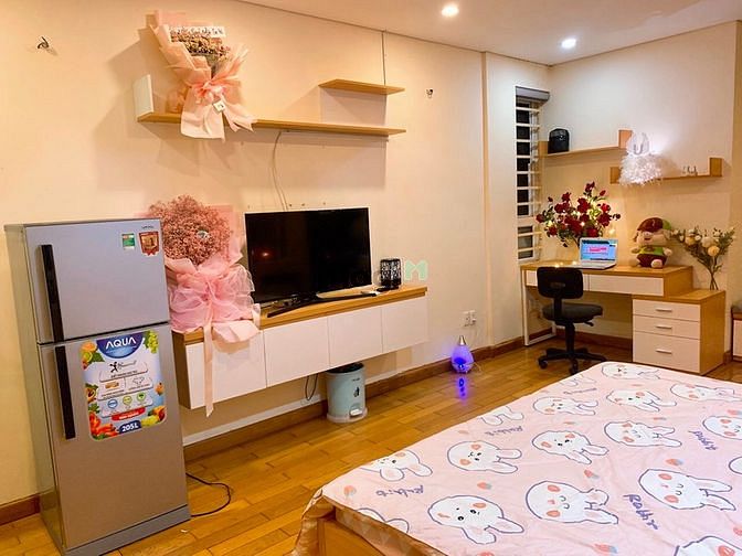 Hình ảnh CHdV Cao cấp quận 4. Rộgn rãi decor cực đep