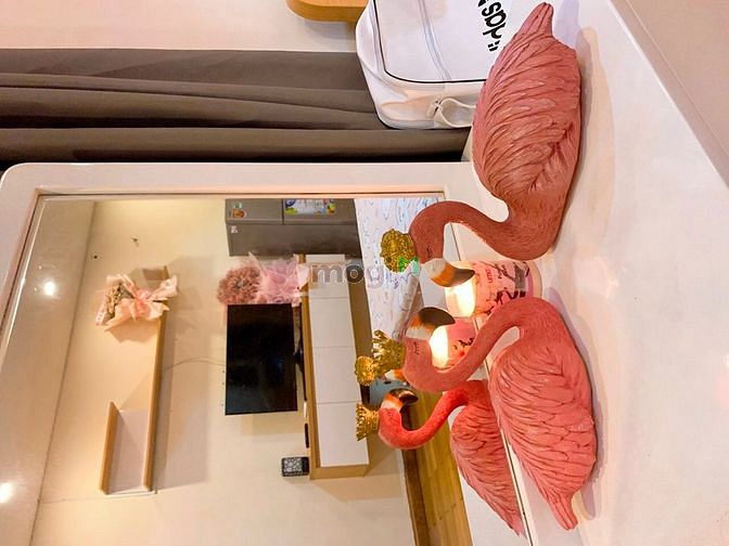 Hình ảnh CHdV Cao cấp quận 4. Rộgn rãi decor cực đep