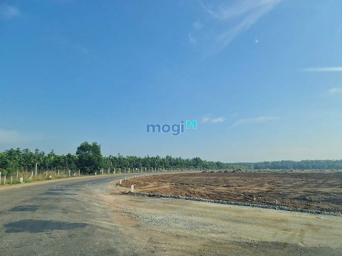 Hình ảnh BÁN NHANH,đất đẹp đường nhựa 8m,SHR.