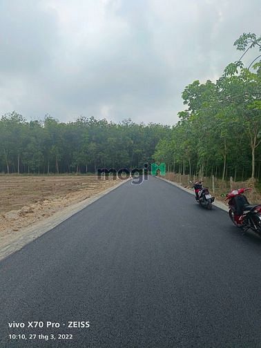 Hình ảnh BÁN NHANH,đất đẹp đường nhựa 8m,SHR.