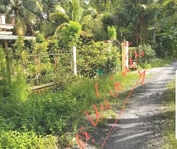 Hình ảnh Bán đất giá rẻ 1904m2 (100m2 ODT) Thới An Đông, Bình Thủy, Cần Thơ