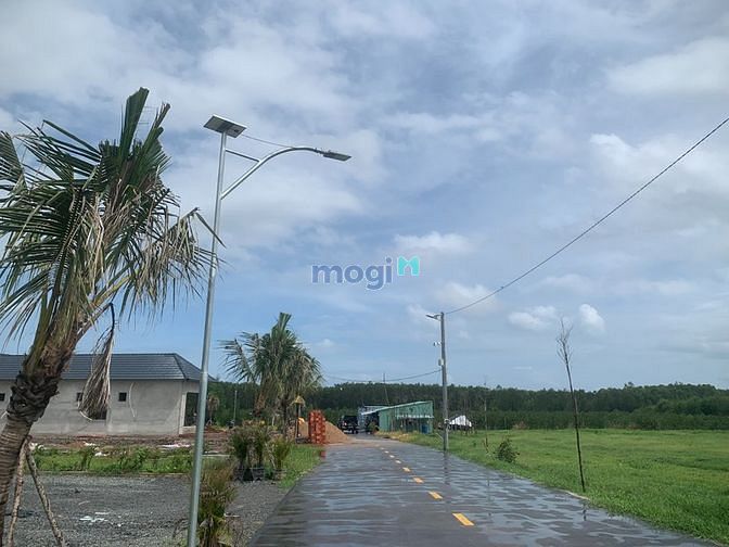 Hình ảnh Dự Án Khu Vực Huyện Đất Đỏ- BR-VT
