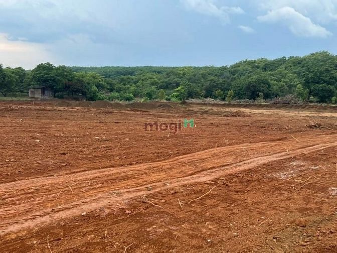 Hình ảnh Tân Lợi 1000m2 giá 470tr gần đường DT 753