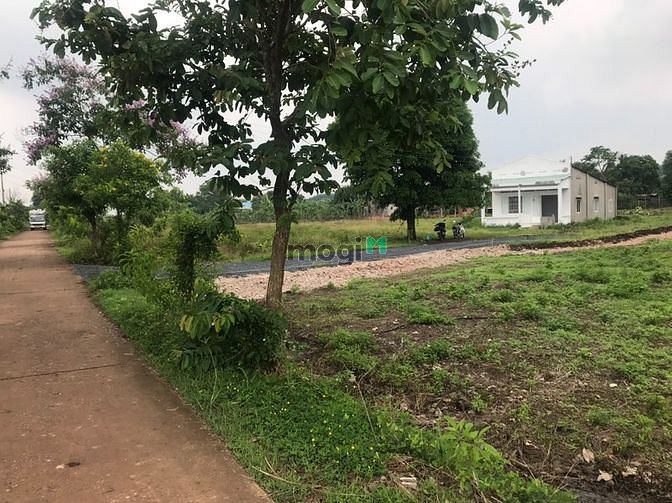 Hình ảnh Đất thổ cư 440m2 trong khu dân cư gần thành phố Biên Hòa