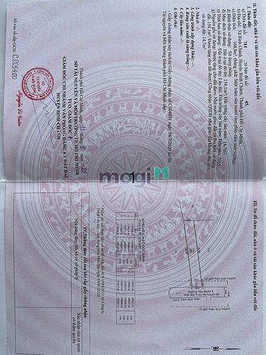 Hình ảnh Cá độ đá banh thua cần bán gấp đất ở đường Đinh Đức Thiện-BÌNH CHÁNH