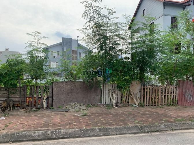 Hình ảnh Chạy nợ bán lô đất xây biệt thự tại khu đấu giá biệt thự 31ha Trâu Quỳ