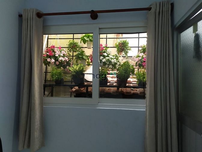 Hình ảnh Bán nhà hẻm 888, Lạc Long Quân, 56m, 4 tỷ 9