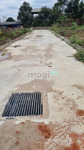 Hình ảnh Bán đất lô góc Phúc Tiến, Thạch Thất gần KCN Hoà Lạc