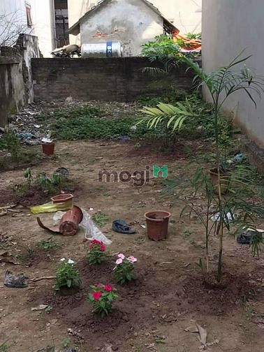 Hình ảnh Bán Đất Cổ Điển A, Tứ Hiệp, Thanh Trì