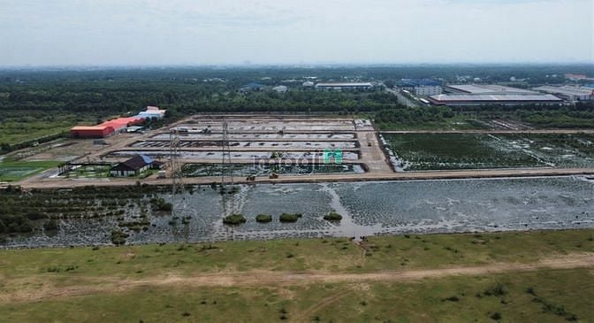 Hình ảnh Bán gấp miếng đất vườn Bình Chánh, ngay khu dân cư đông đúc, gần chợ