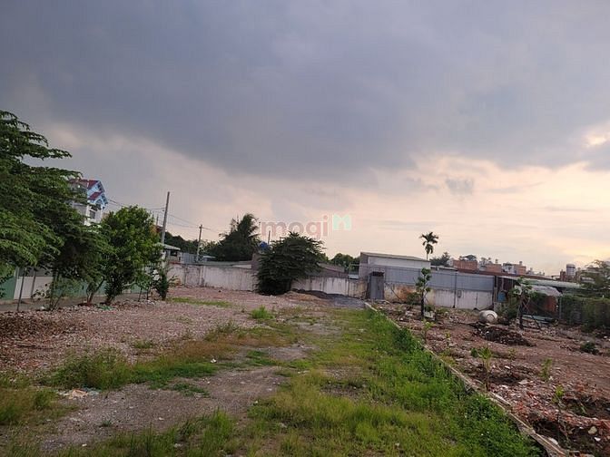 Hình ảnh Cho thuê đất mt bờ sông Sài Gòn 600m