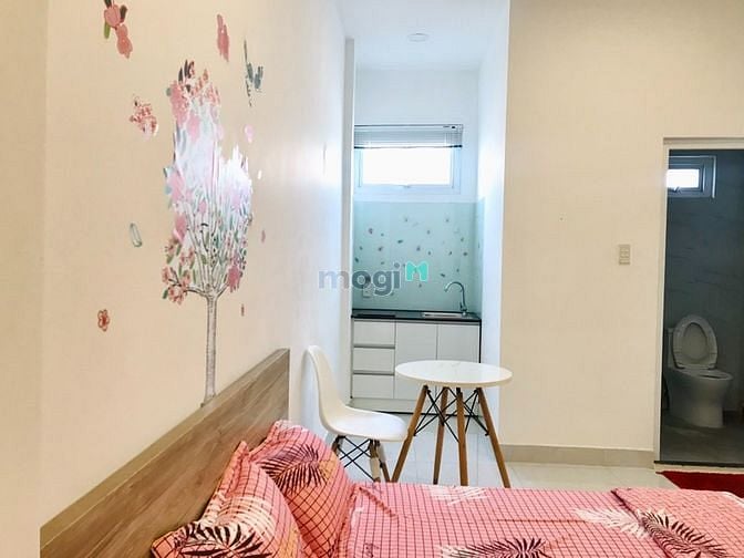 Hình ảnh Cho thuê Trang Chủ MB66.COM / Đăng Ký Tặng 66K studio Đường C12 Quận Tân Bình gần Nhất Chi Mai
