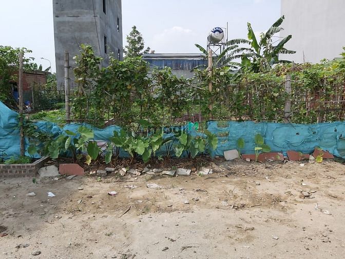 Hình ảnh Bán Đất Phúc Lợi, Long Biên. Diện Tích 37m2. Giá 2.5 Tỷ Có Đàm Phán