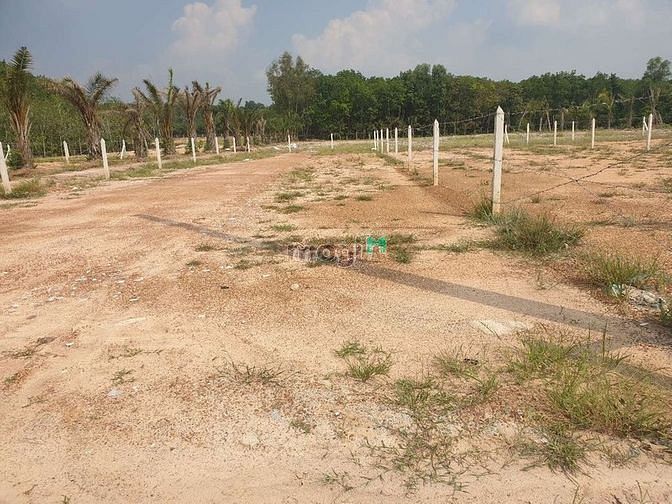 Hình ảnh đất Trang MB66.COM Chính Thức - MB 66 Uy Tín hòa lợi bến cát , đất tp mới bình dương, đất bình dương.