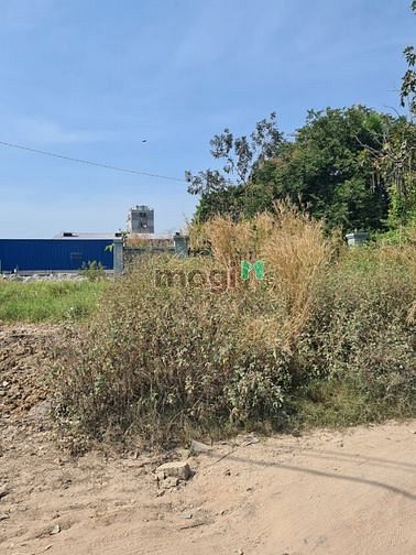 Hình ảnh Cho thuê đất 420m có 376m thổ cư, mt bờ sông