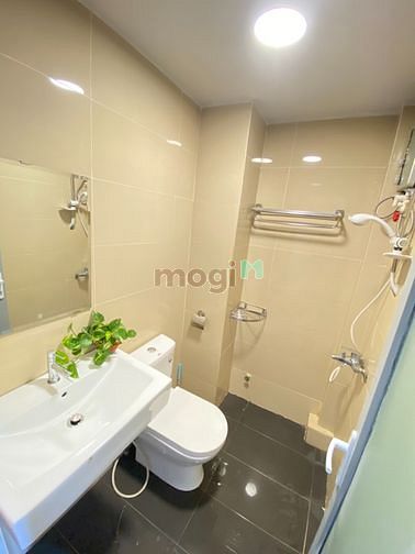 Hình ảnh Cho thuê Trang Chủ MB66.COM / Đăng Ký Tặng 66K studio Âu Cơ Quận Tân Bình gần Ni Sư Huỳnh Liên