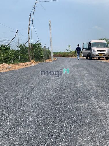 Hình ảnh Bán vườn cam Bình Phước 1000m2 giá 520 triệu