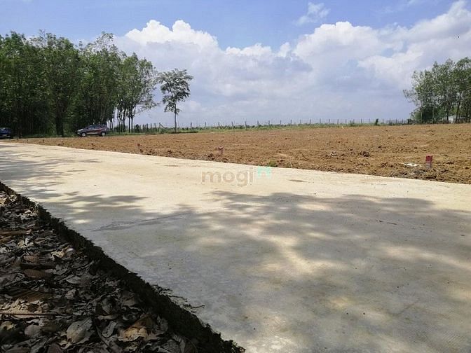 Hình ảnh Những lí do mà bạn nên mua đất tại Bình Phước