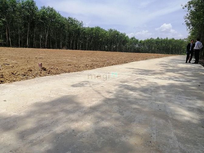 Hình ảnh Những lí do mà bạn nên mua đất tại Bình Phước